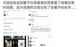 明星用大号吃瓜爆料文件,吃瓜爆料文件背后的娱乐圈真相