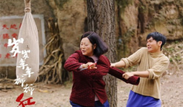 岁岁年年柿柿红电视剧,岁月流转，红柿情缘