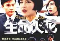电视剧火花,激情岁月里的青春传奇